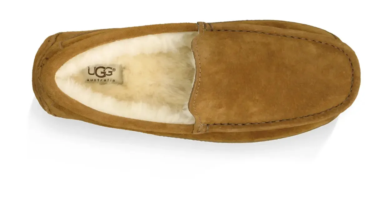 Mens UGG Ascot (Suede)  Classic Moc-Toe Slipper with Indoor/Outdoor Comfort