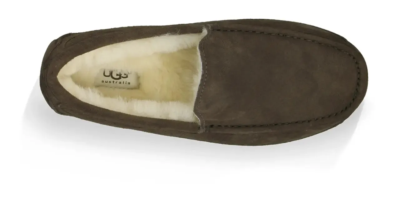 Mens UGG Ascot (Suede)  Classic Moc-Toe Slipper with Indoor/Outdoor Comfort