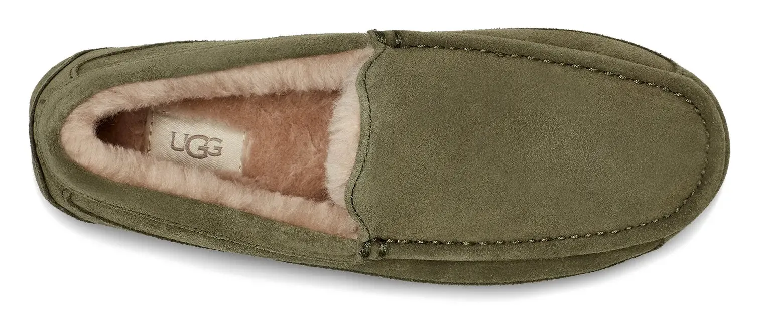 Mens UGG Ascot (Suede)  Classic Moc-Toe Slipper with Indoor/Outdoor Comfort
